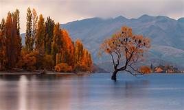 Autumn in Wanaka