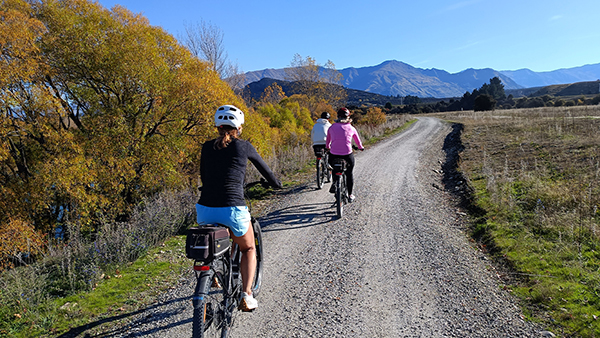 Biking trail in Lake Hawea, NZ